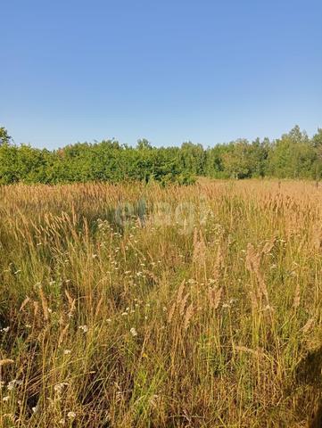 ул Красногвардейская 7 сельское поселение Село Хурба фото