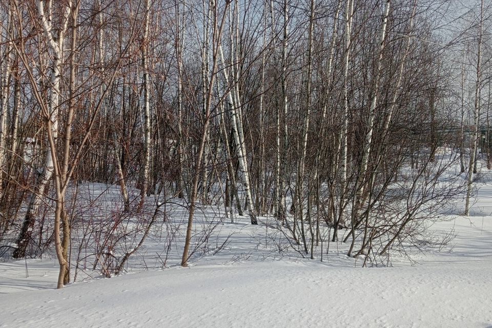 земля г Воскресенск микрорайон Лопатинский, городской округ Воскресенск фото 1