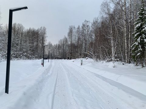 земля р-н Выборгский коттеджный посёлок Репиноф фото 3