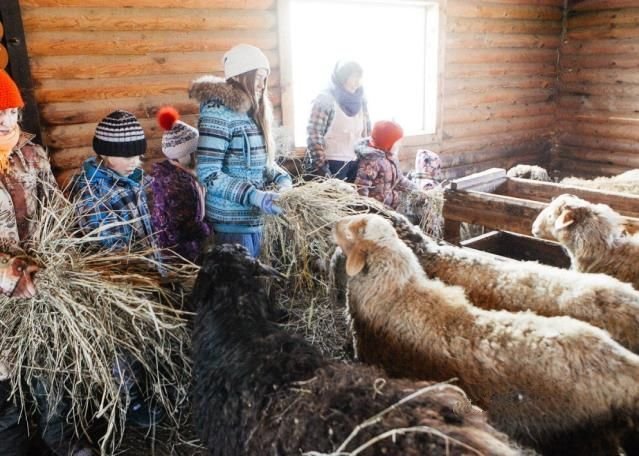 общепит, отдых городской округ Солнечногорск д Сергеевка фото 12