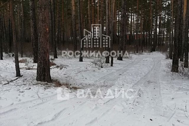 земля посёлок Забайкальский фото