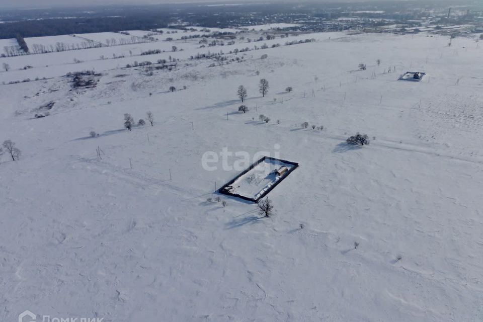 земля р-н Хабаровский село Восточное фото 6