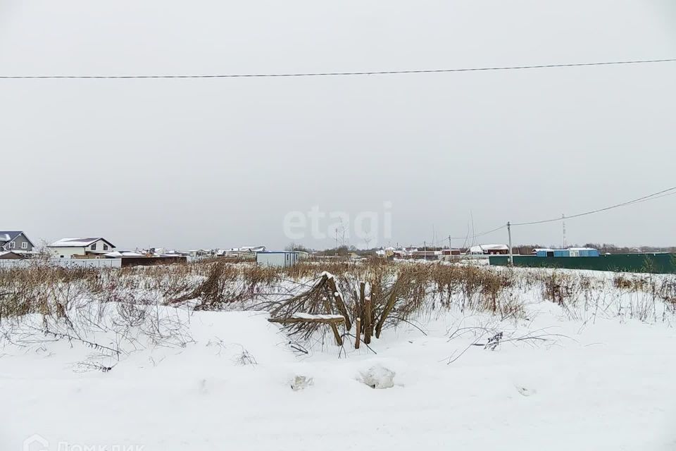 земля городской округ Воскресенск территория Сосновый бор фото 3