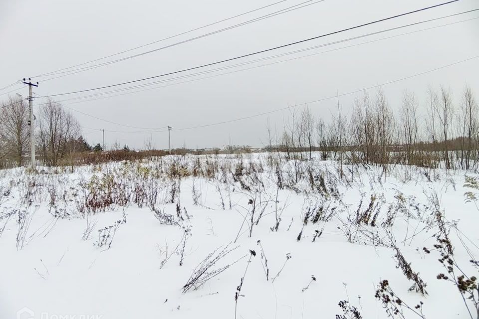 земля городской округ Воскресенск территория Сосновый бор фото 5
