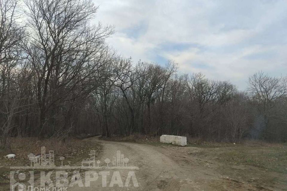 земля г Новороссийск муниципальное образование Новороссийск, садовое товарищество Берёзки фото 2