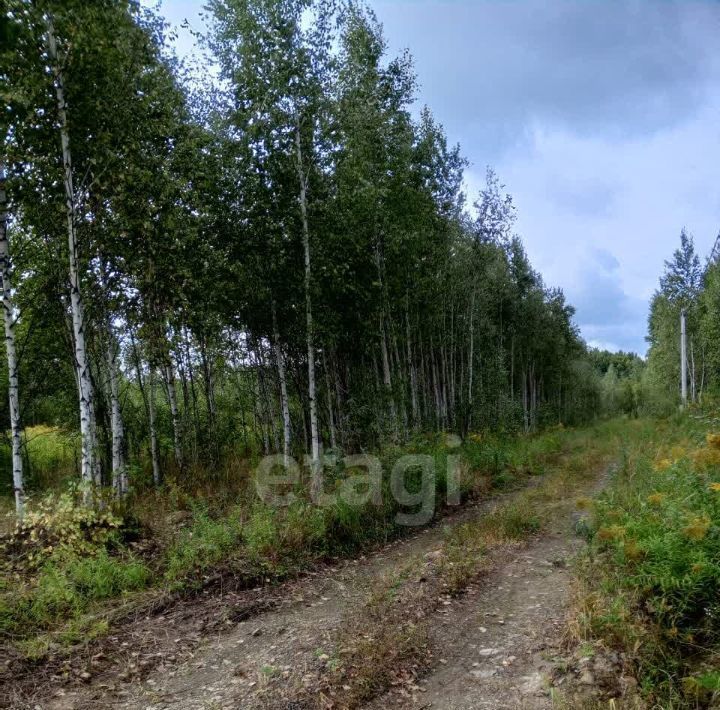 земля р-н Хабаровский с Мичуринское Восточный сад СНТ фото 7