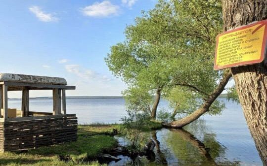 земля р-н Пензенский д Камайка ул Лазурная Алферьевский сельсовет, Засечное фото 1