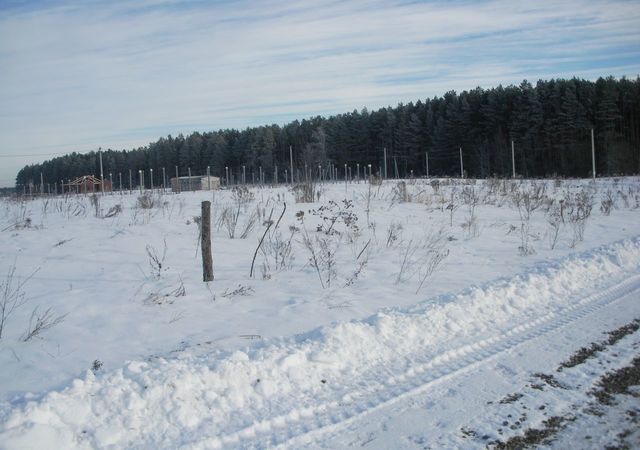 Новодарковичское сельское поселение, Брянск фото