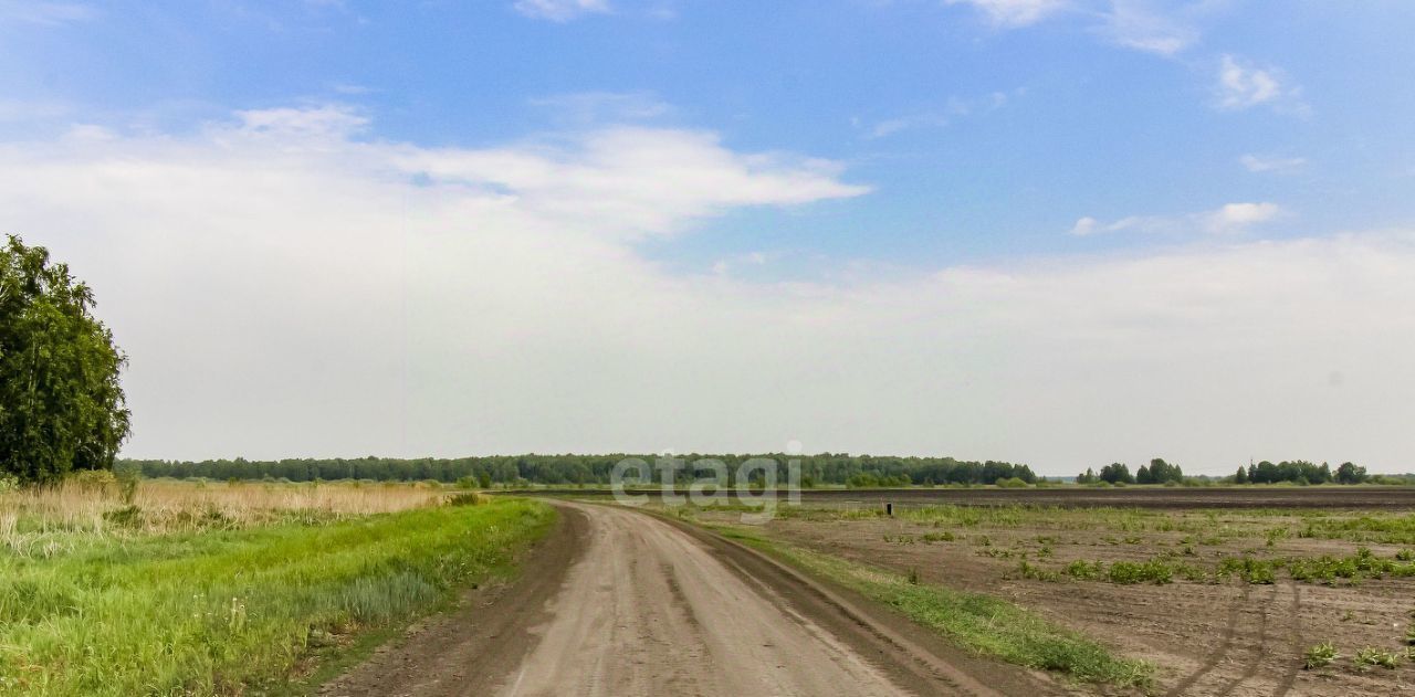 земля г Тюмень п Тараскуль ул Приозерная фото 2