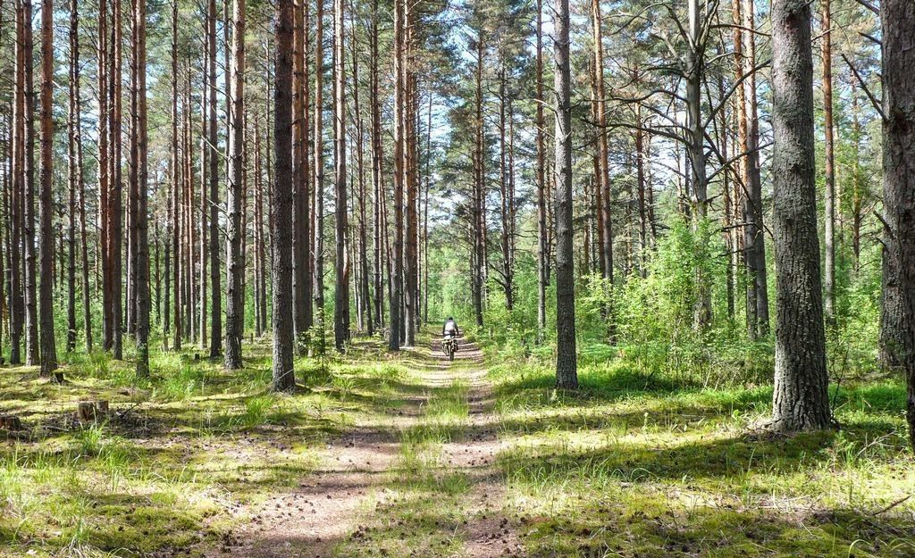 земля р-н Калининский д Головачево Тургиновское сельское поселение, Козлово фото 11