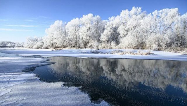 земля ул Молодежная Вольск, Быково-Отрогское муниципальное образование фото