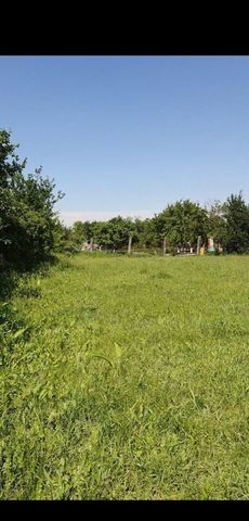 Катар-Юртовское сельское поселение, Ачхой-Мартан фото
