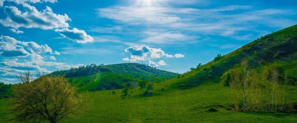 офис р-н Майминский п Известковый ул Мраморная фото 4