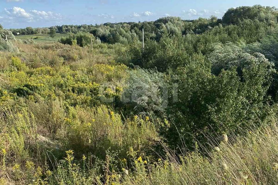 земля г Калининград городской округ Калининград, ДНТ Золотой Петушок фото 2