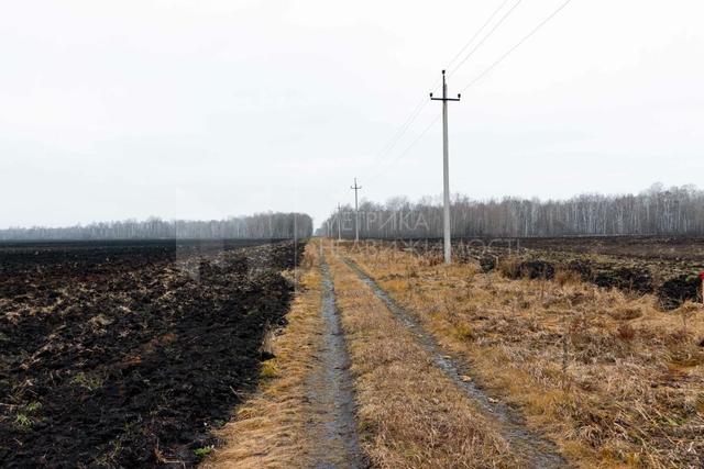 земля Горьковское сельское поселение, Тюмень фото