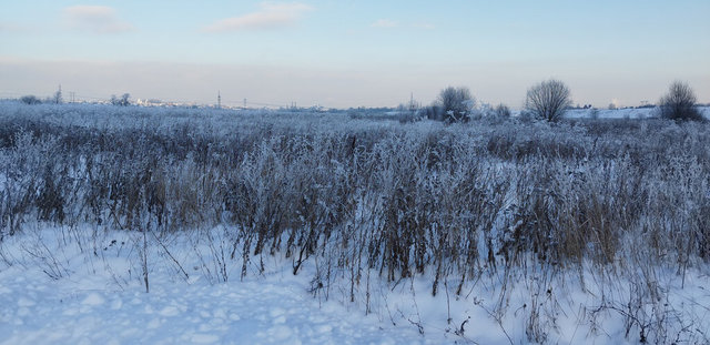 Отдых, коттеджный посёлок Пахра Ривер Парк, 200 фото