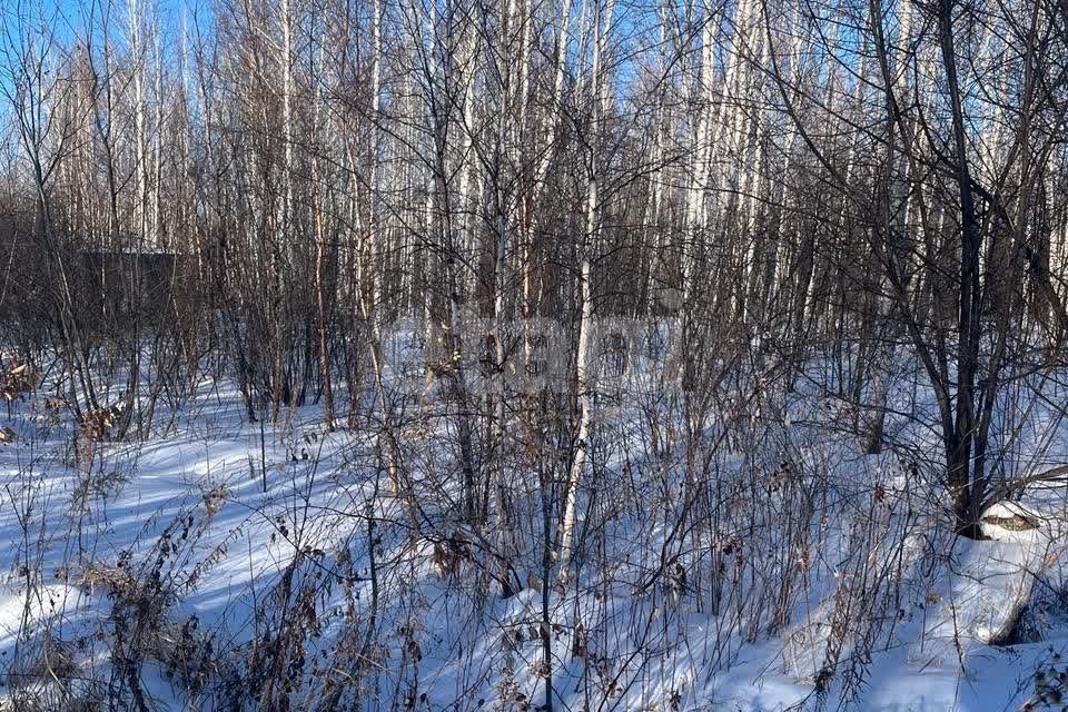 земля г Благовещенск ш Игнатьевское городской округ Благовещенск фото 4