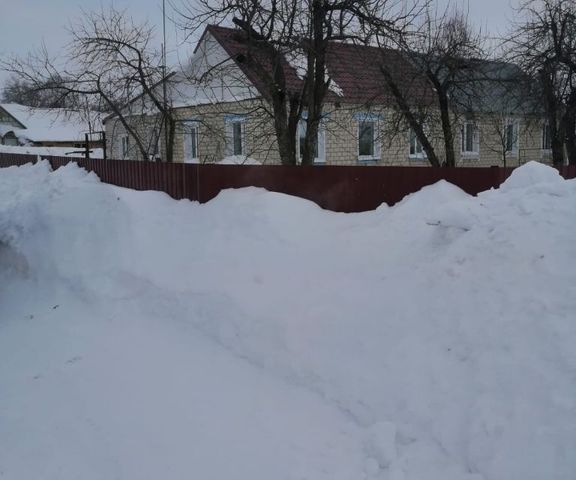 село Нечаевка фото