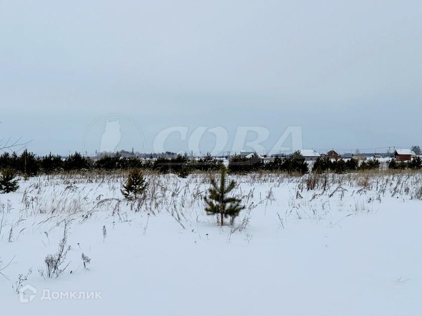 земля р-н Тюменский село Борки фото 1