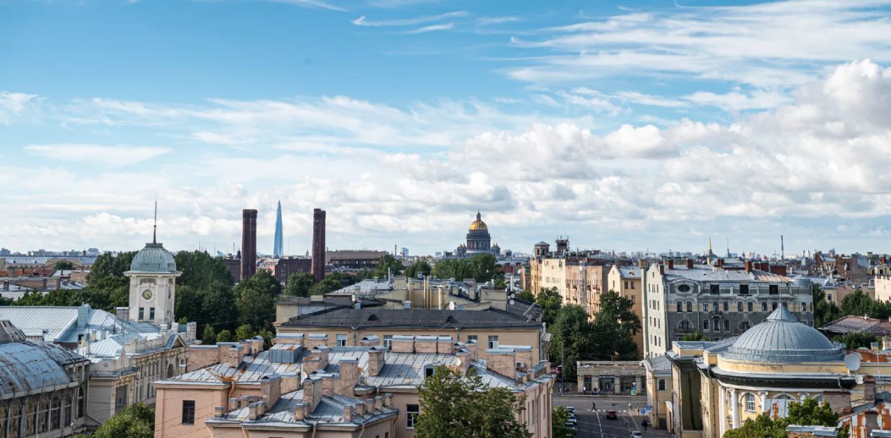 квартира г Санкт-Петербург метро Пушкинская пер Подъездной 12 фото 13