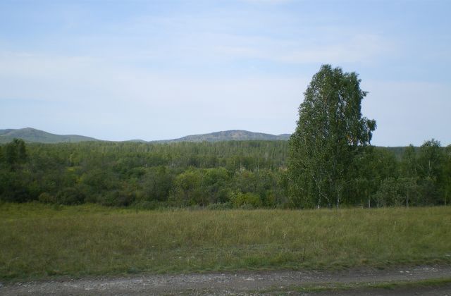 с Смородинка ул Северная Южный фото