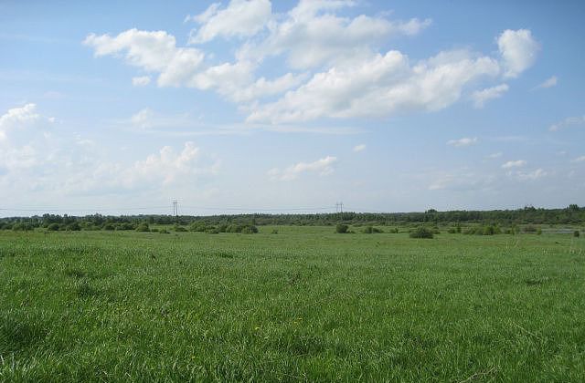 Аньковское сельское поселение, Ильинско-Хованское фото