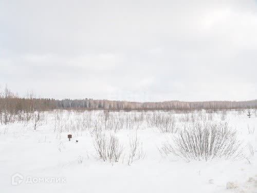 земля городской округ Сосновоборск, Сосновоборск фото 1