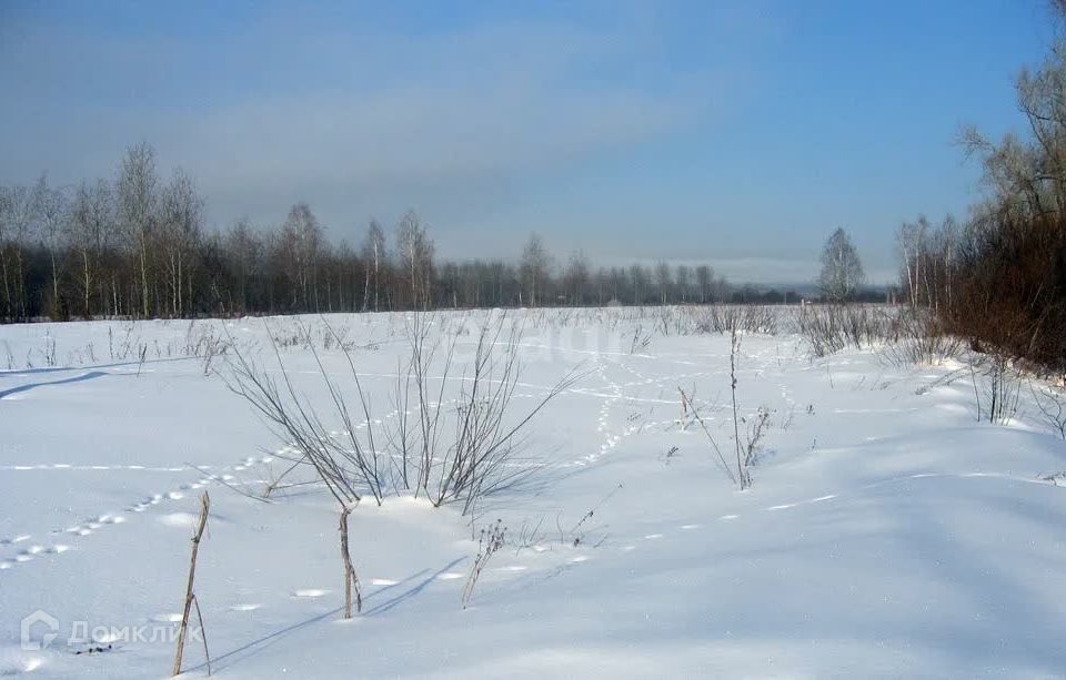 земля городской округ Сосновоборск, Сосновоборск фото 2