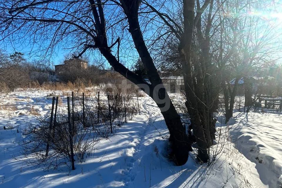 земля г Благовещенск СТ Мотор-2, городской округ Благовещенск фото 2