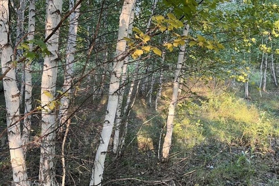 земля г Чебаркуль Дружная улица, Чебаркульский городской округ фото 3