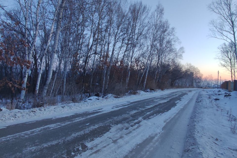 земля г Благовещенск Клубничная улица, городской округ Благовещенск фото 10