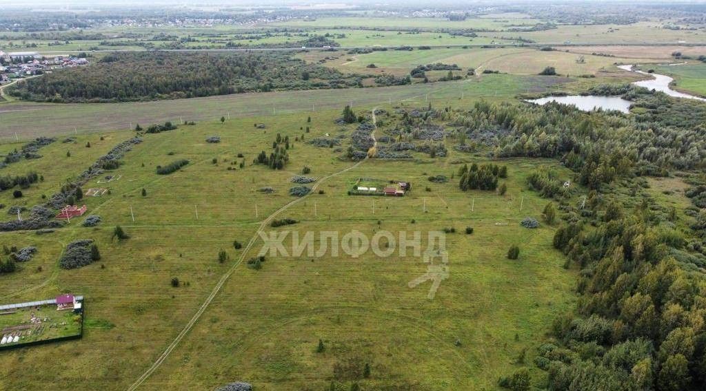 земля р-н Новосибирский с Криводановка фото 2