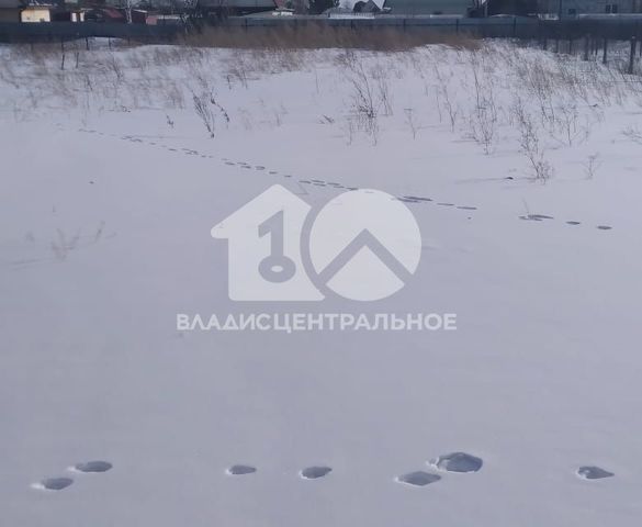 земля снт Автомобилист 187, Новосибирский район фото