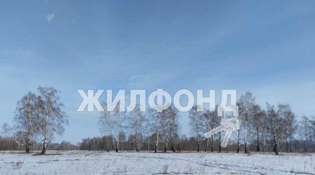 земля р-н Новосибирский с Береговое ул Степная Боровской сельсовет фото