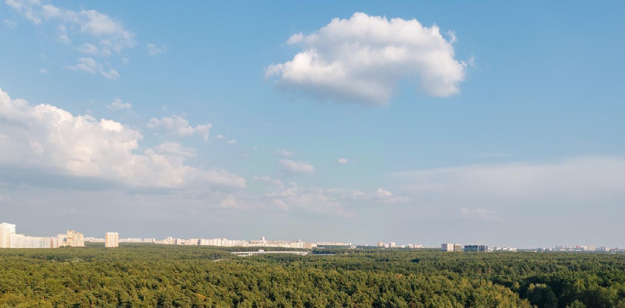 квартира г Москва п Московский метро Говорово № 3 кв-л, Движение. Говорово жилой комплекс, к 2 фото 24