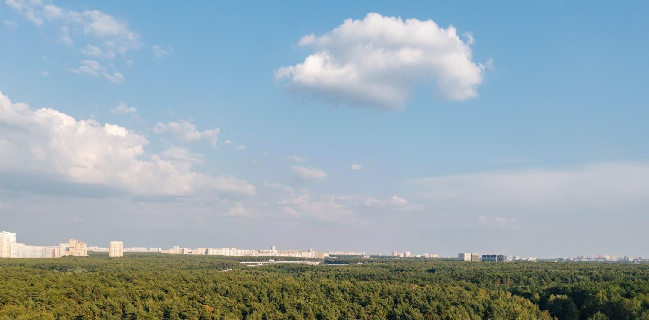 квартира г Москва п Московский метро Говорово № 3 кв-л, Движение. Говорово жилой комплекс, к 2 фото 25