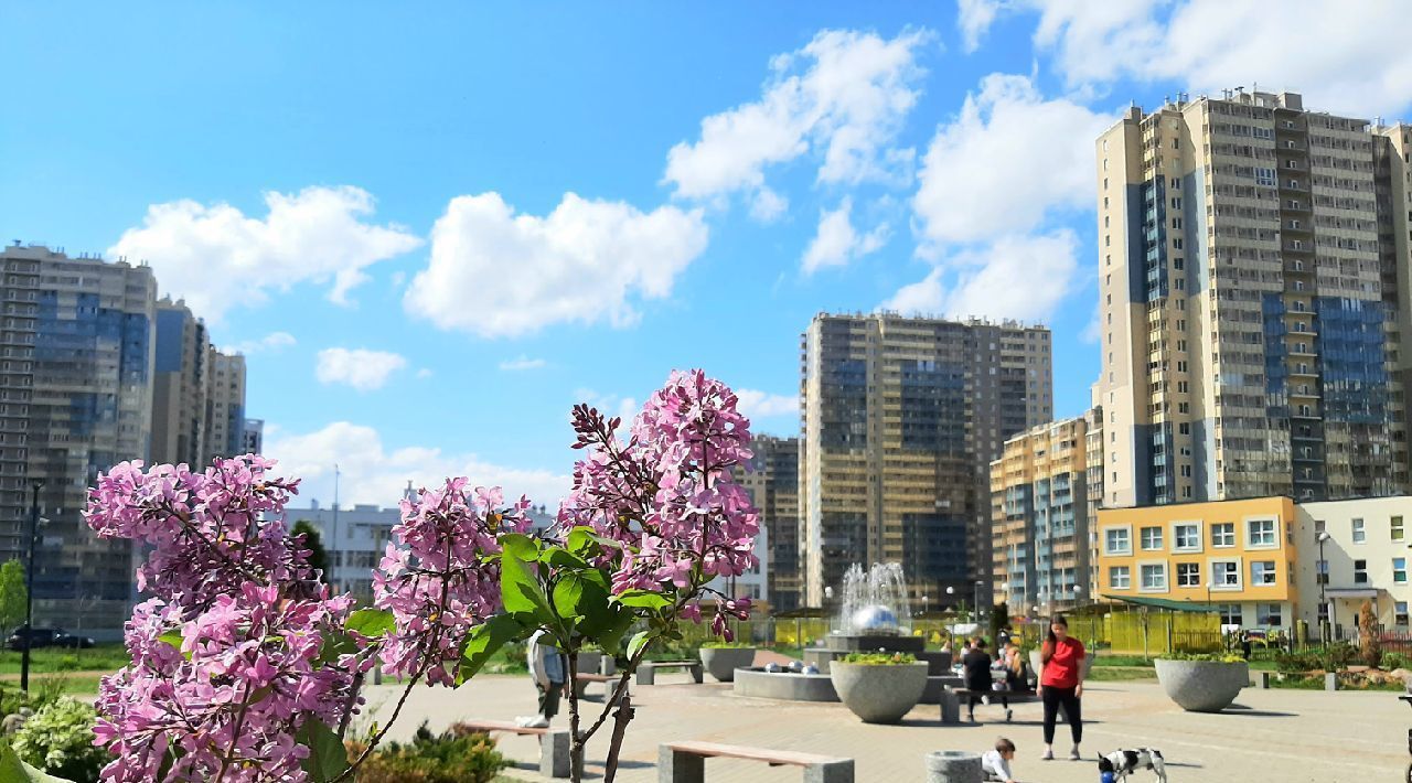 квартира г Санкт-Петербург метро Комендантский Проспект ул Плесецкая 10 фото 26