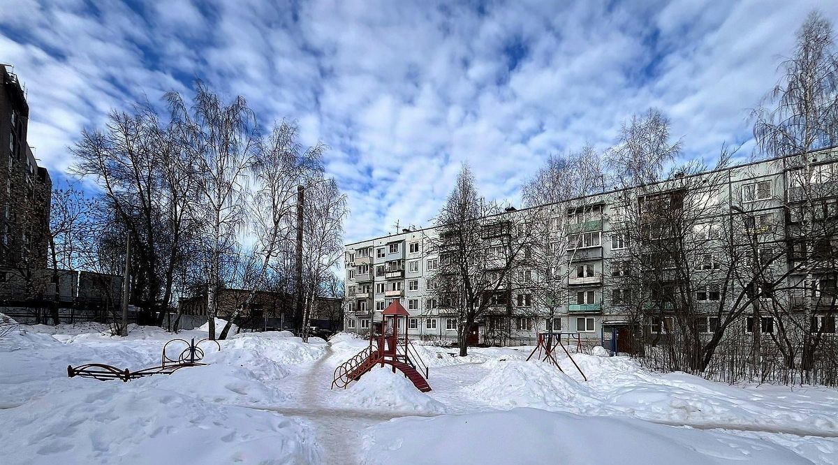 квартира г Пушкино Гоголевская ул., 10, Мамонтовка фото 15