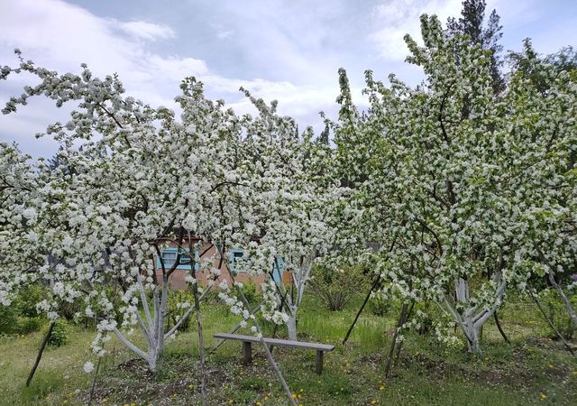 р-н Железнодорожный Радуга, дачное некоммерческое товарищество фото