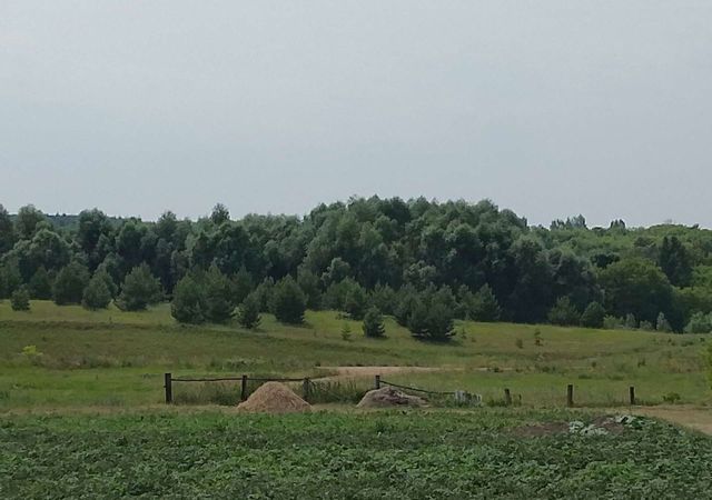 земля Екатериновское сельское поселение, Пестрецы фото