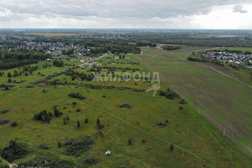 земля р-н Новосибирский село Криводановка фото 1