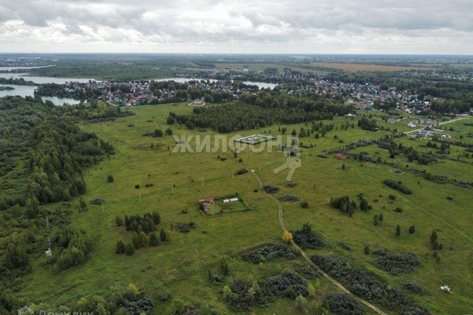 земля р-н Новосибирский село Криводановка фото 1
