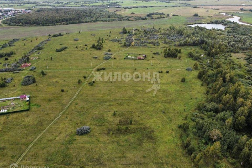 земля р-н Новосибирский село Криводановка фото 4