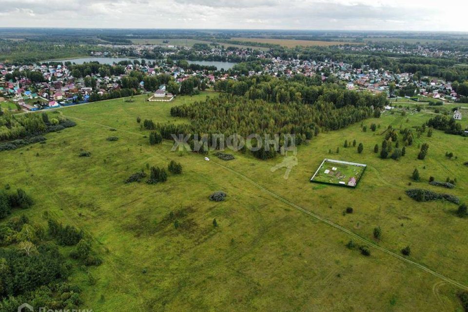 земля р-н Новосибирский село Криводановка фото 2