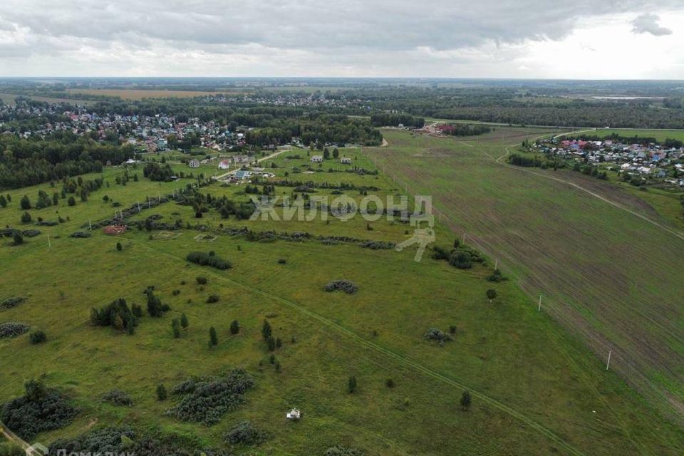 земля р-н Новосибирский село Криводановка фото 2