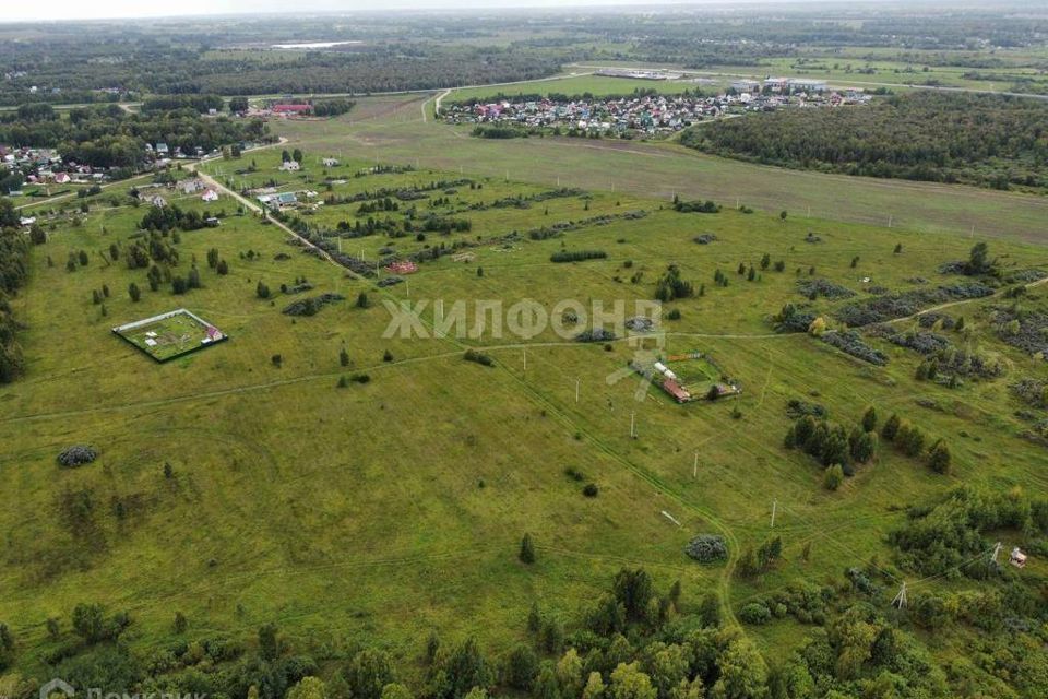 земля р-н Новосибирский село Криводановка фото 3