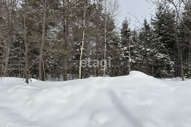 городской округ Южно-Сахалинск, СДТ Ласточка фото