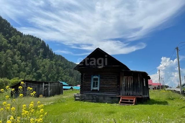 земля село Камлак фото