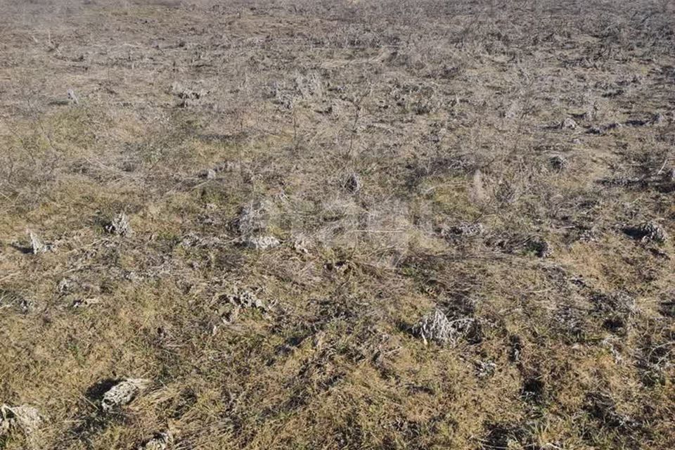 земля р-н Ейский г Ейск ул Красная 83/4 фото 6