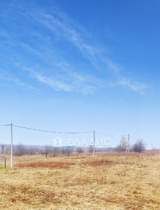 земля р-н Зеленоградский г Зеленоградск Ольшанское садовое товарищество фото 3